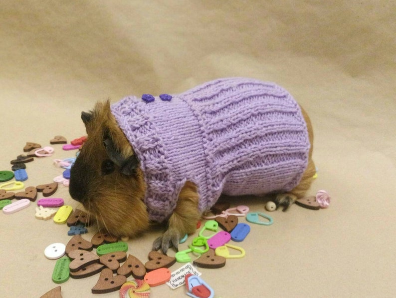 Small Pets Clothes for Guinea Pigs Costume Pet Bunnies Etsy