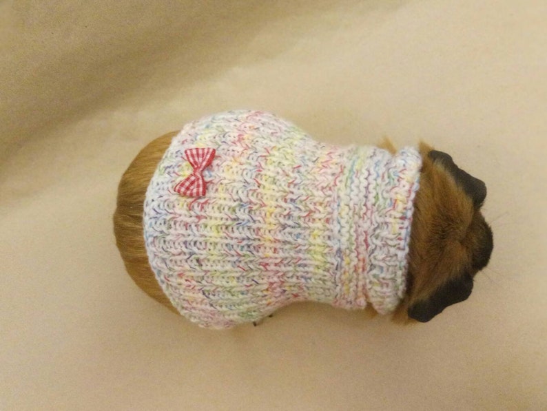 Guinea pig outfit Hairless guinea pig Sweater for bunny pet Etsy