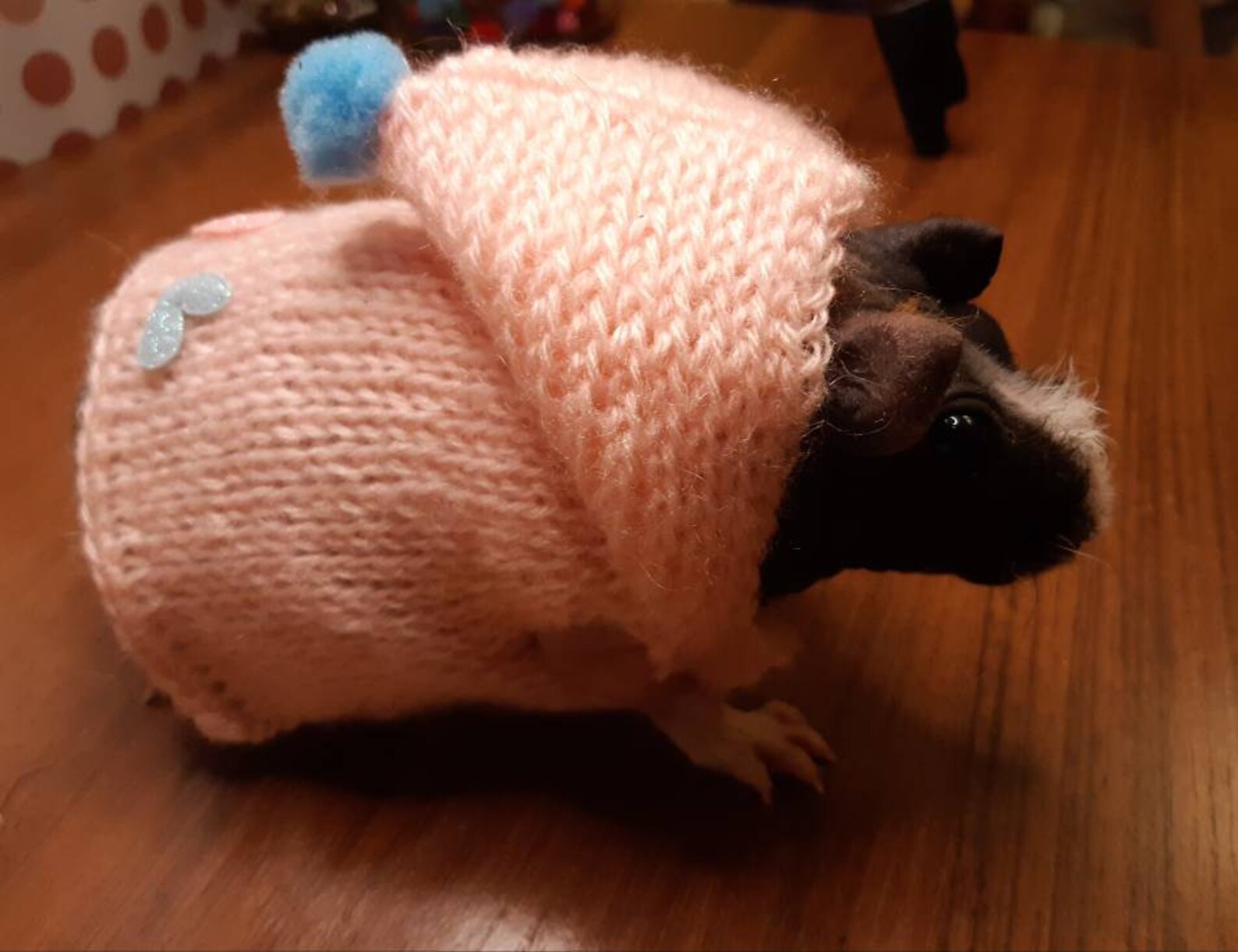 Hairles Pig Clothes Cozy Sweater for Skinny Pets Guinea Pigs Etsy