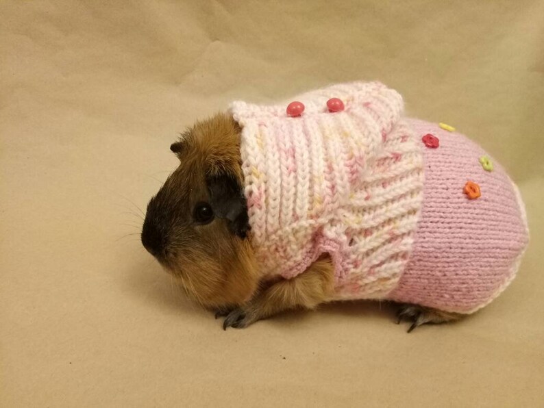 Guinea pig costumes Pink clothes for small pet gift Guinea pig Etsy