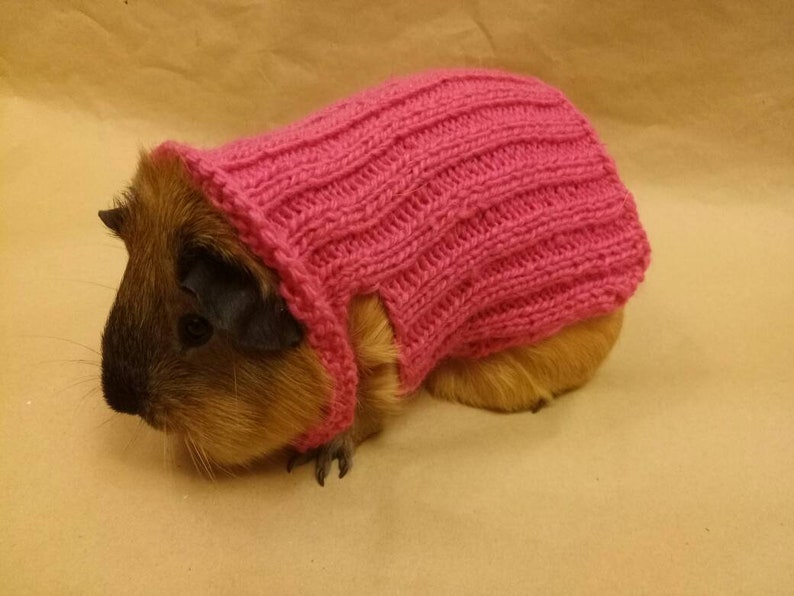 Guinea Pig Polo Sweater Pink Clothes for Skinny Accessories Etsy