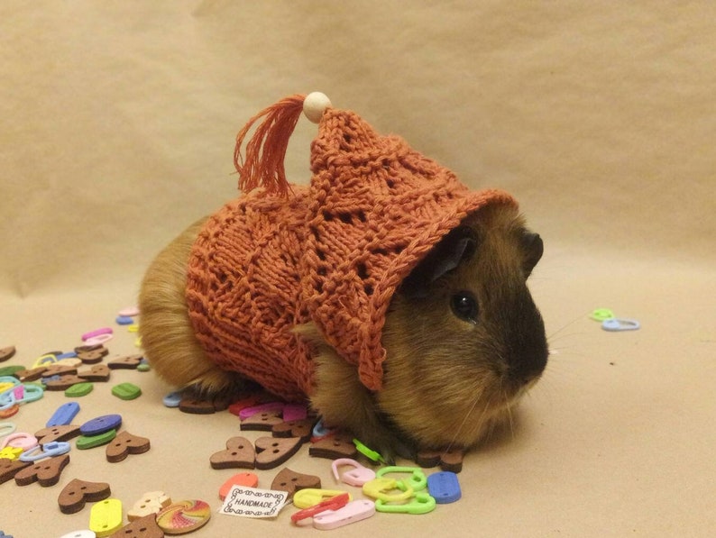 Guinea pig knitted clothes For small pets accessories Guinea Etsy