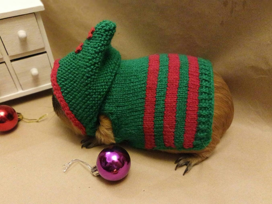 Guinea pig dress Red costumes pet Green clothes for pig Etsy