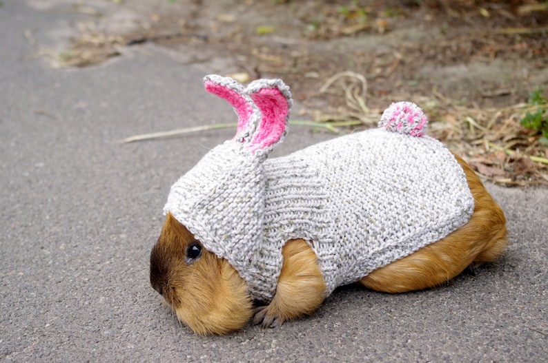 Guinea Pigs Bunny Costume Skinny Pigs Clothes Hairless Pets Etsy