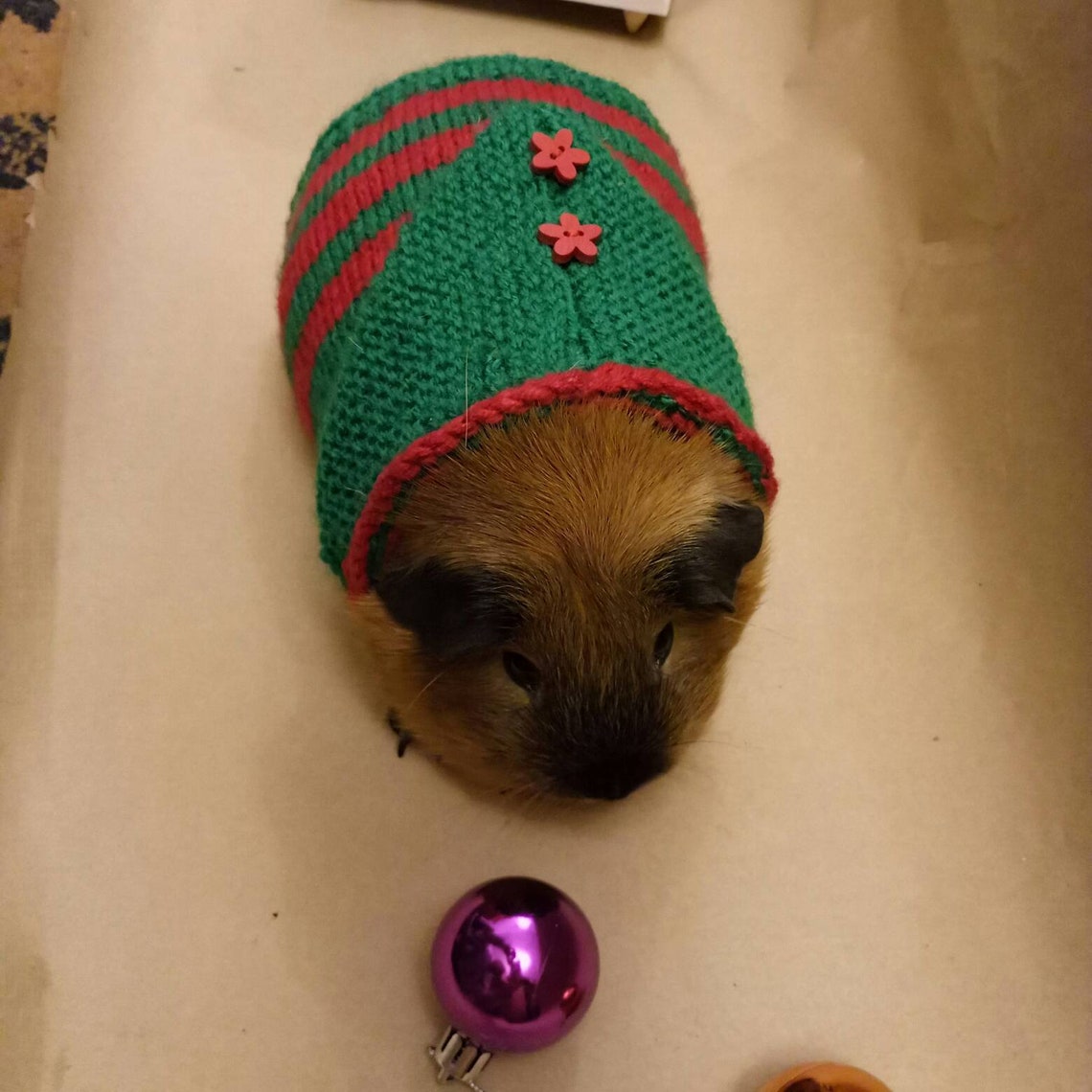 Guinea pig dress Red costumes pet Green clothes for pig Etsy
