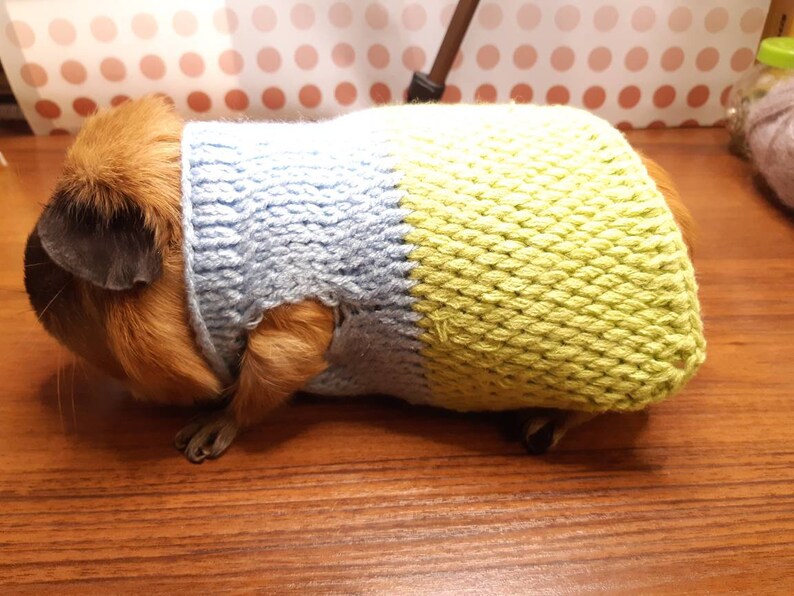 Guinea Pig Clothes Skinny Guinea Pig Sweater Hairless Pigs Etsy