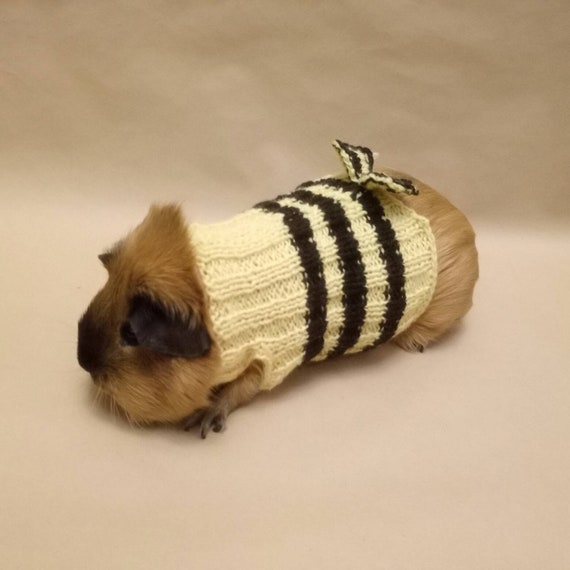 guinea pig outfits