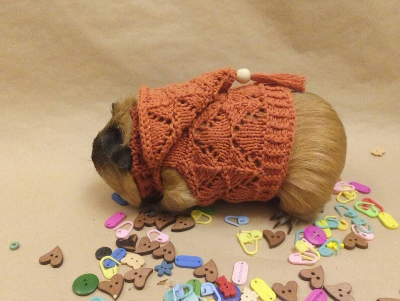 Guinea pig knitted clothes For small pets accessories Guinea Etsy