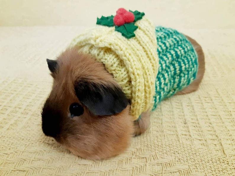 Guinea pig clothes Green yellow hoodie for guinea pig Summer Etsy