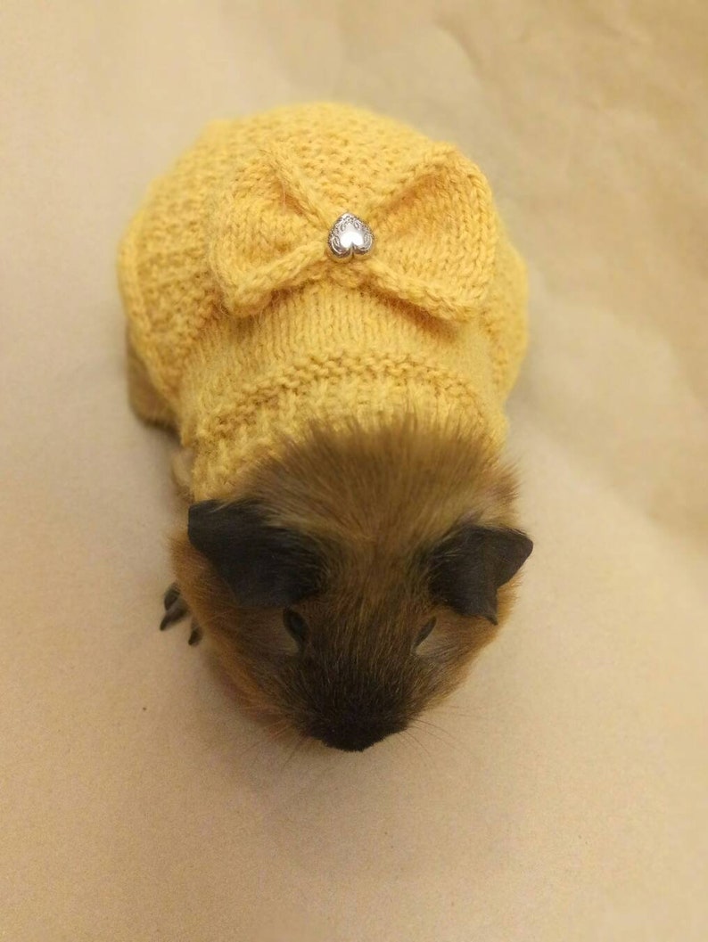 Guinea pig clothes Bunny dress Bow Sweater for pig Accessories Etsy