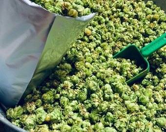 Hops / Whole Leaf Hop / Hop Flowers / Humulus Lupulus / Dried Hops / Craft Beer / Hop Tea / Homebrewed / Farm Fresh  / Hop Pillow