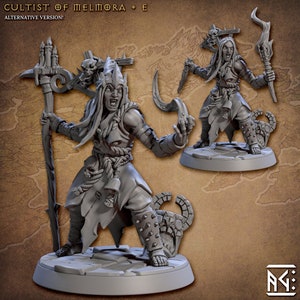 May include: A gray plastic miniature figurine of a female cultist with a staff, a dagger, and a skull on her head. The figurine is standing on a round base.