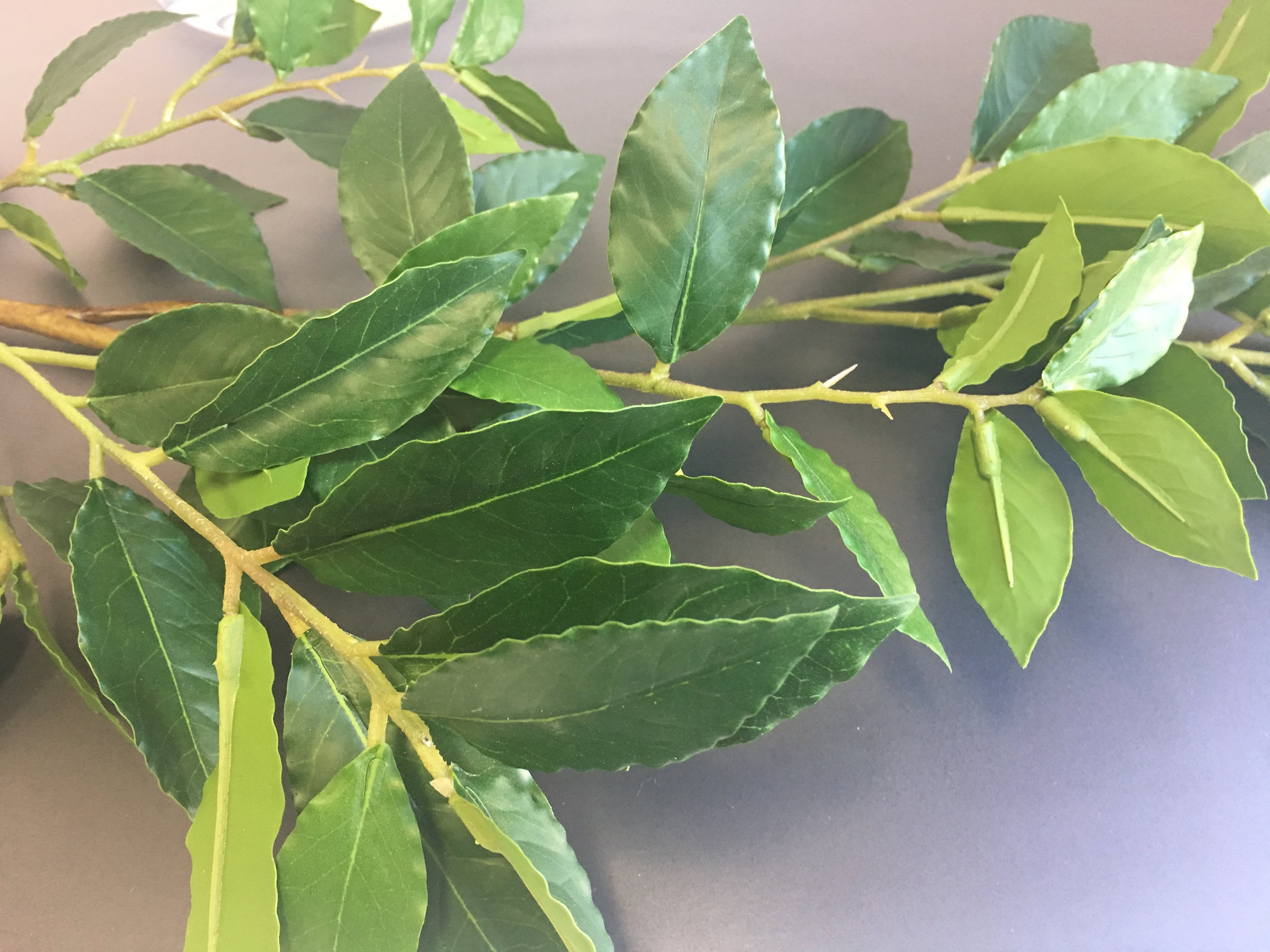 Artificial Bay Tree Branch Foliage Fake Foliage Artifitial Etsy