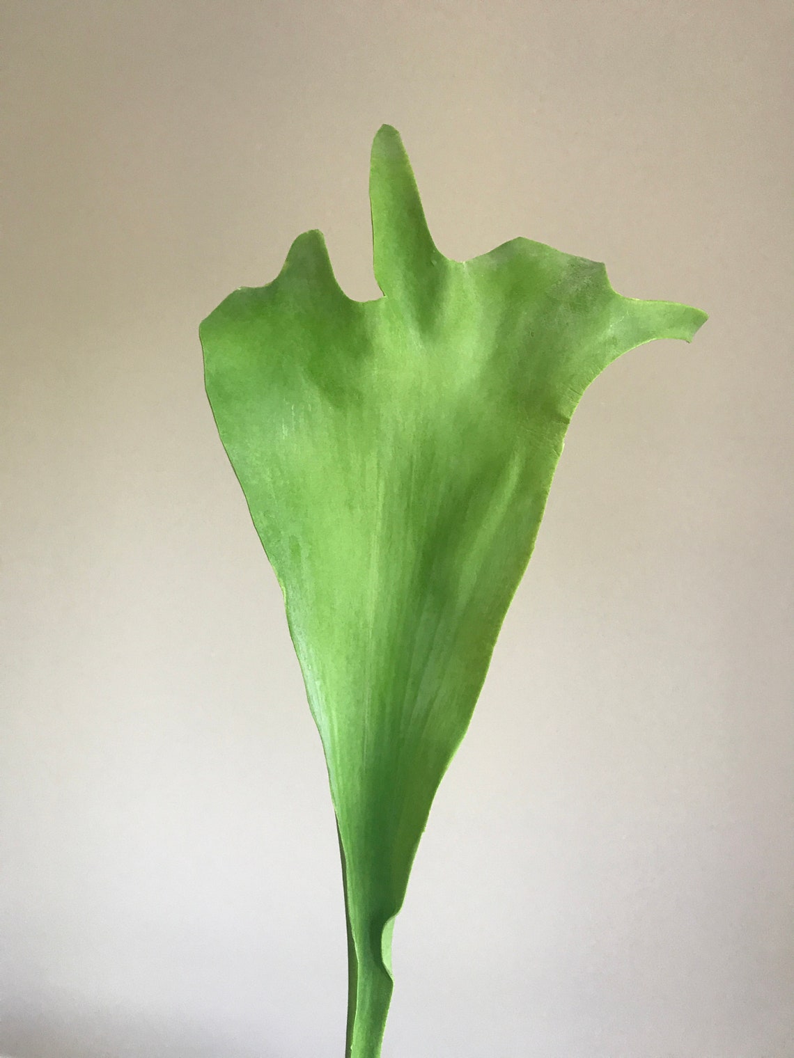 Fake Green Leaf, Artifitical Green Leaf, Realistic Fake Fresh Look Leaf