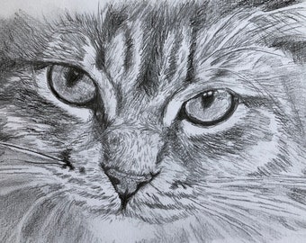 Realistic custom pencil or charcoal portrait of your pet