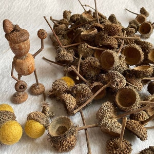 Hairy Acorns - Etsy