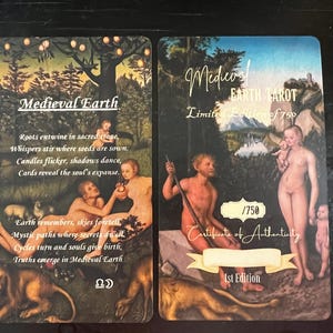 Medieval Earth Tarot - Limited Edition of 750 image 11