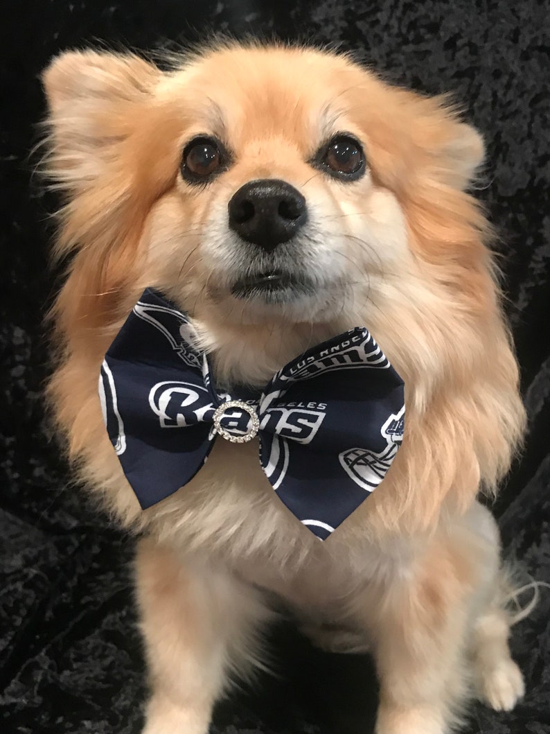 la rams dog jersey