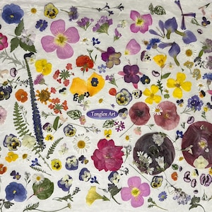 Custom order pressed flower supply! (price adjusted per quantity ordered)