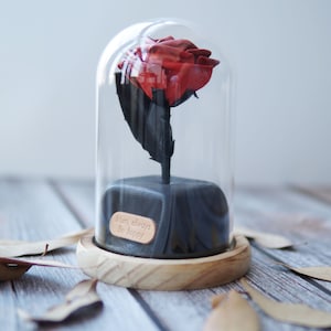 Lederen Forever Rose in glazen koepel bewaarde bloembak, gepersonaliseerde lederen 3e 5e verjaardag cadeaus voor vrouw vriendin partners haar hem
