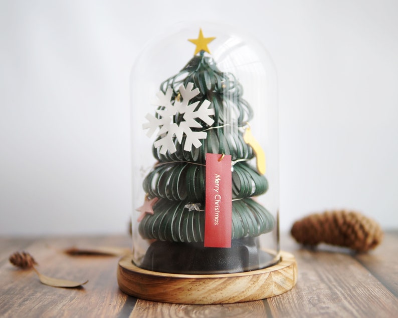 Leather Forever Christmas Tree Preserved Flower Box Etsy Preserved Christmas Tree
