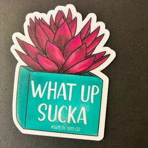 Op de afbeelding: Een sticker met een roze succulent in een turquoise pot met de tekst "What Up Sucka" en de social media handle "@wildcard.go".