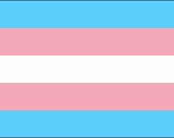 Transgender Flag Etsy