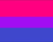Bi Sexual Flag, Gay Pride, 5FT X 3FT Large Flag, Flag Has 2 Eyelets, LGBTQ  Events, Carnivals & Marches Suitable for Indoor and Outdoor Use 