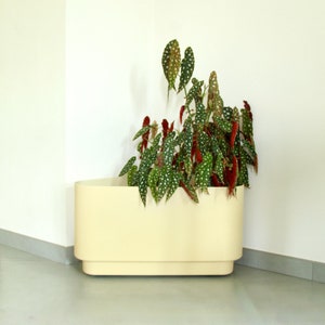 Cremina, Vintage Blumenhalter / Servierwagen von Nena Balsari für Kartell, Italien, 70er Jahre