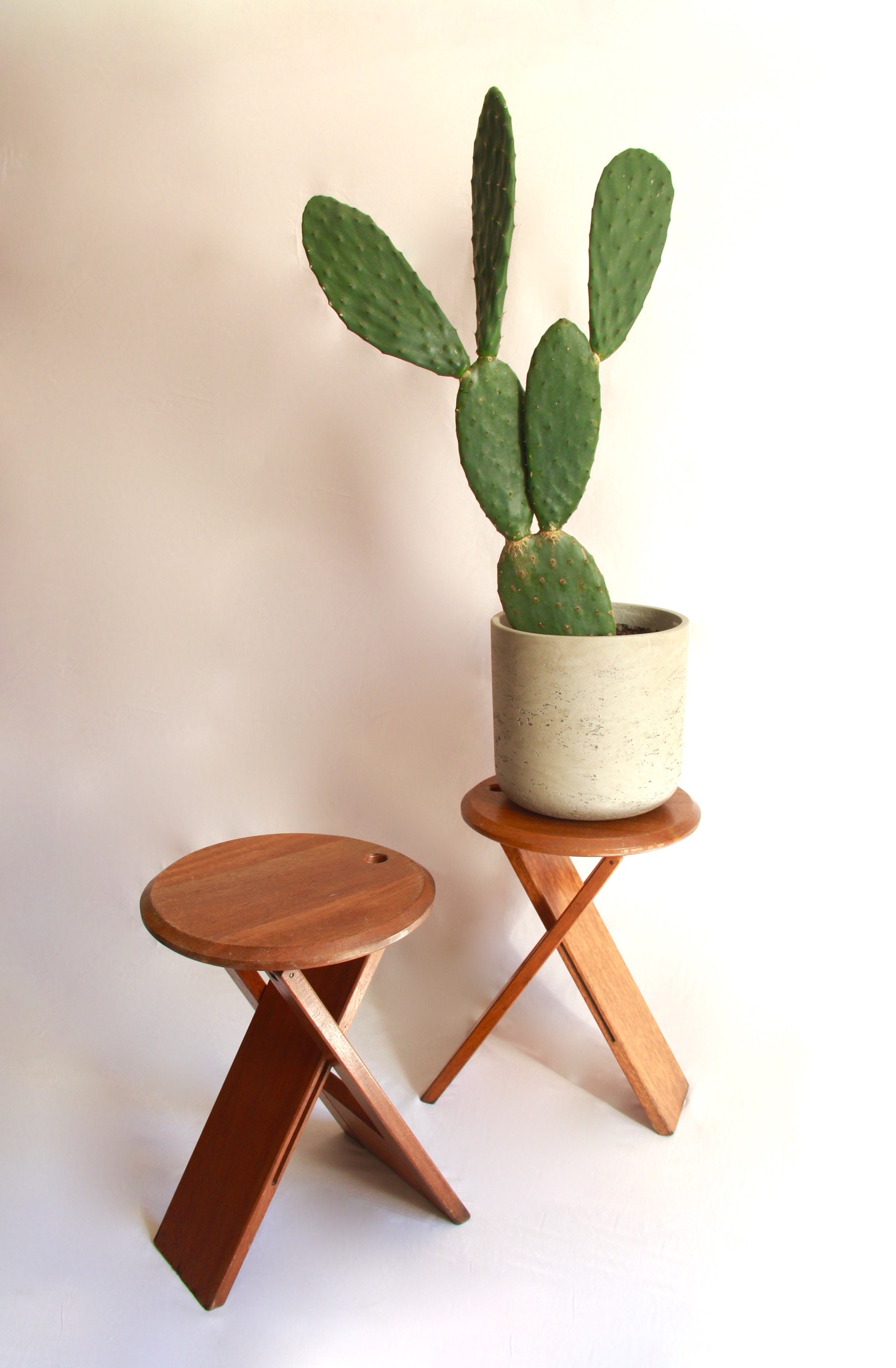 Banketti, Ensemble Vintage