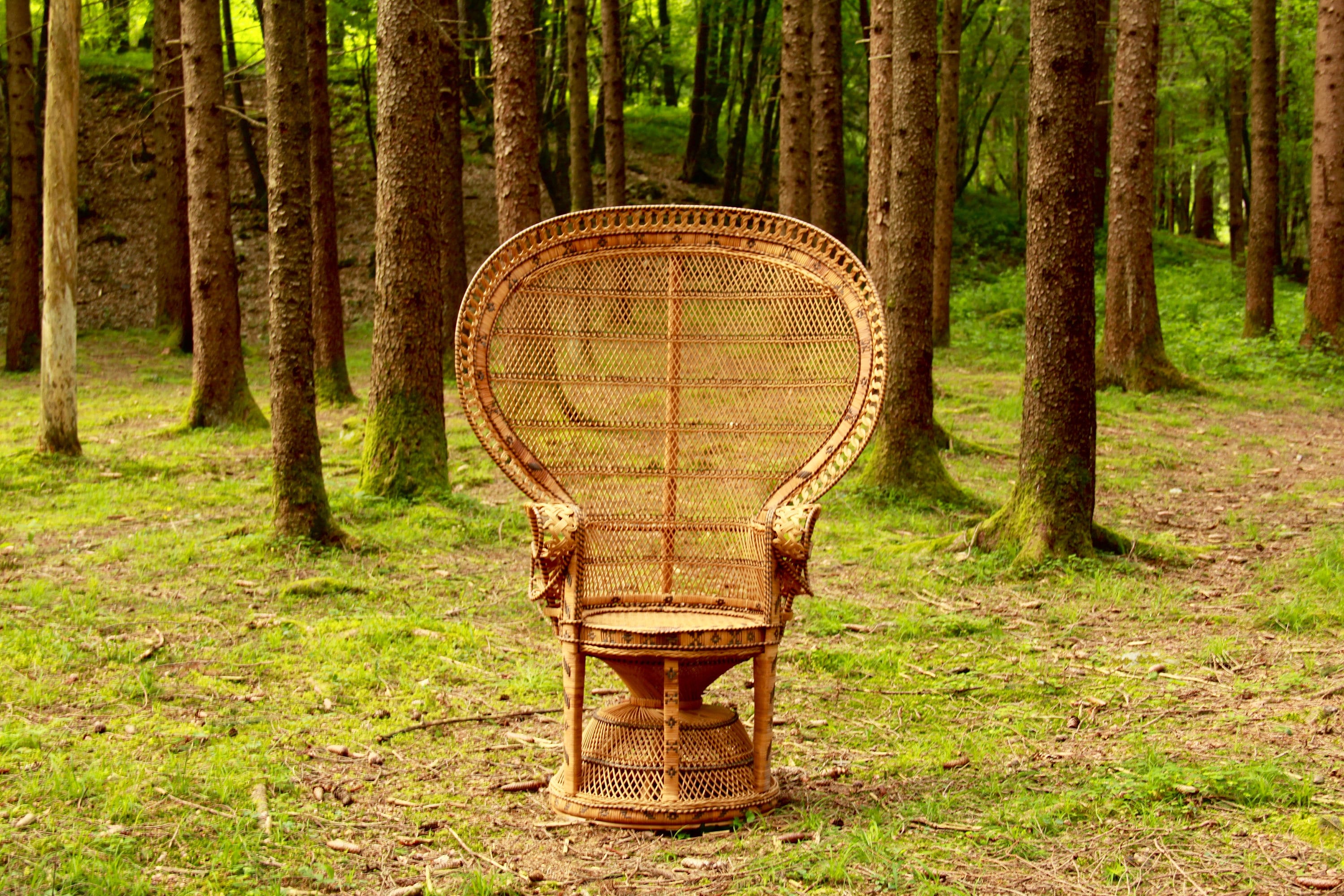 Emmanuelle, Original Vintage Peacock Chair, Italy, 1970s - Etsy