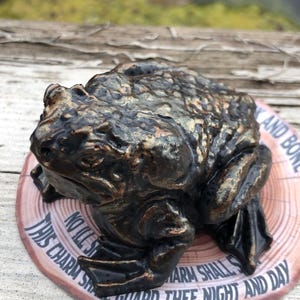 May include: A black and gold frog figurine with a textured surface. The frog is sitting on a wooden coaster with the text "No ill shall harm thee night and day this charm shall guard thee".