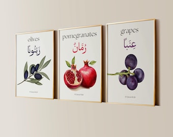 Quranic Fruits Wall Art Set of 3 Olives Pomegranates Grapes Muslim Kitchen Decor Modern Islamic Home Gift Ramadan Decor Quran Art Printable