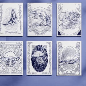 Groenland animals postcards