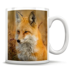 Fox Gift, Fox Mug, Fox Coffee Cup