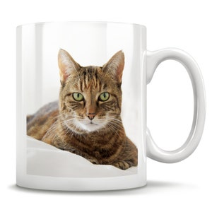 Regalo gatto soriano, tazza gatto soriano, tazza da caffè gatto soriano