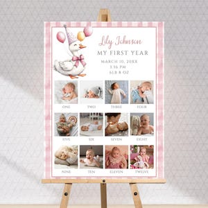 One Silly Goose 1st Birthday Milestone Photo Sign, Photo Poster Template, Baby&#39;s First Year, Pink Gingham Vintage Instant Download Printable