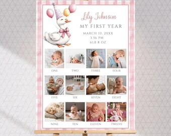 Silly Goose 1st Birthday Photo Milestone Sign: Girl First Year Pink Gingham (Digital Download)