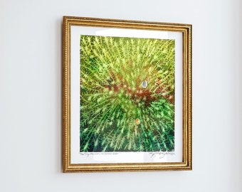 Abstract Forest Print - Extra Large Wall Art of Tiny Mushrooms and Moss on Forest Floor / Macro Square Landscape Art Print