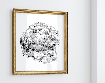 Toad Art Print - Extra Large Wall Art of a Toad on Toad Ink Drawing / Black and White Animal Wall Art / Minimalist Nursery Wall Art