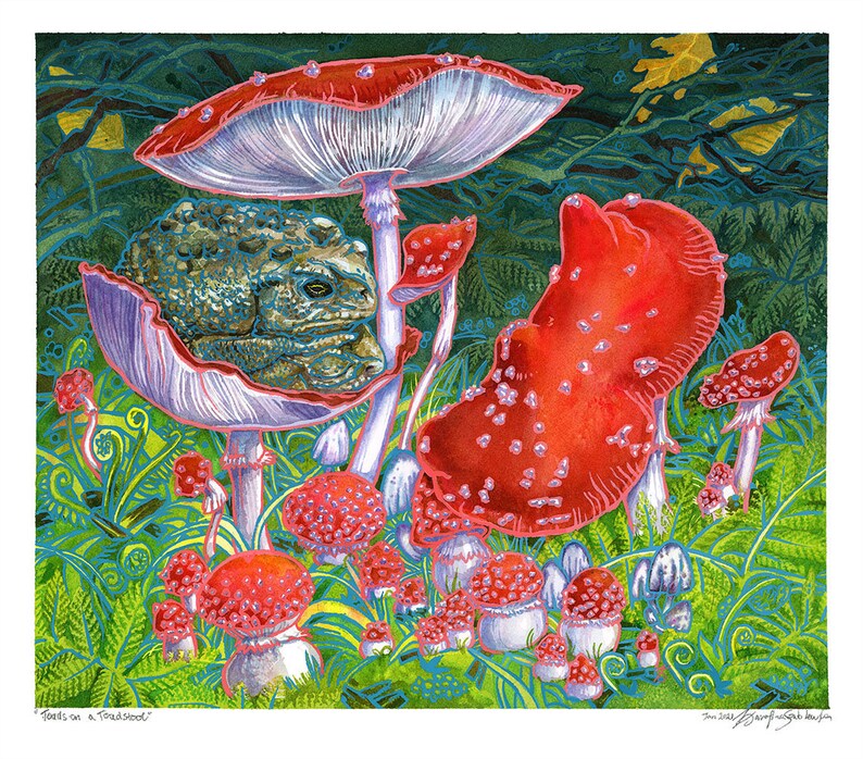 Mushroom Art Print Amanita Muscaria Toadstools / Dark Cottagecore Wall Art/ Goblincore Frog Painting in Watercolor image 2
