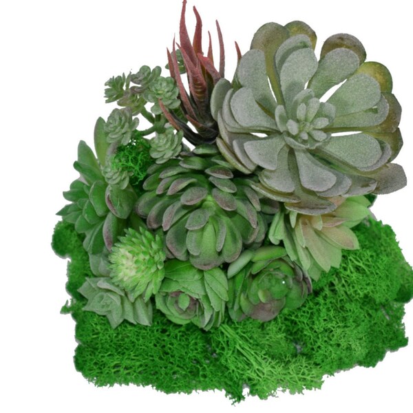 Artificial Succulents Unpotted Etsy