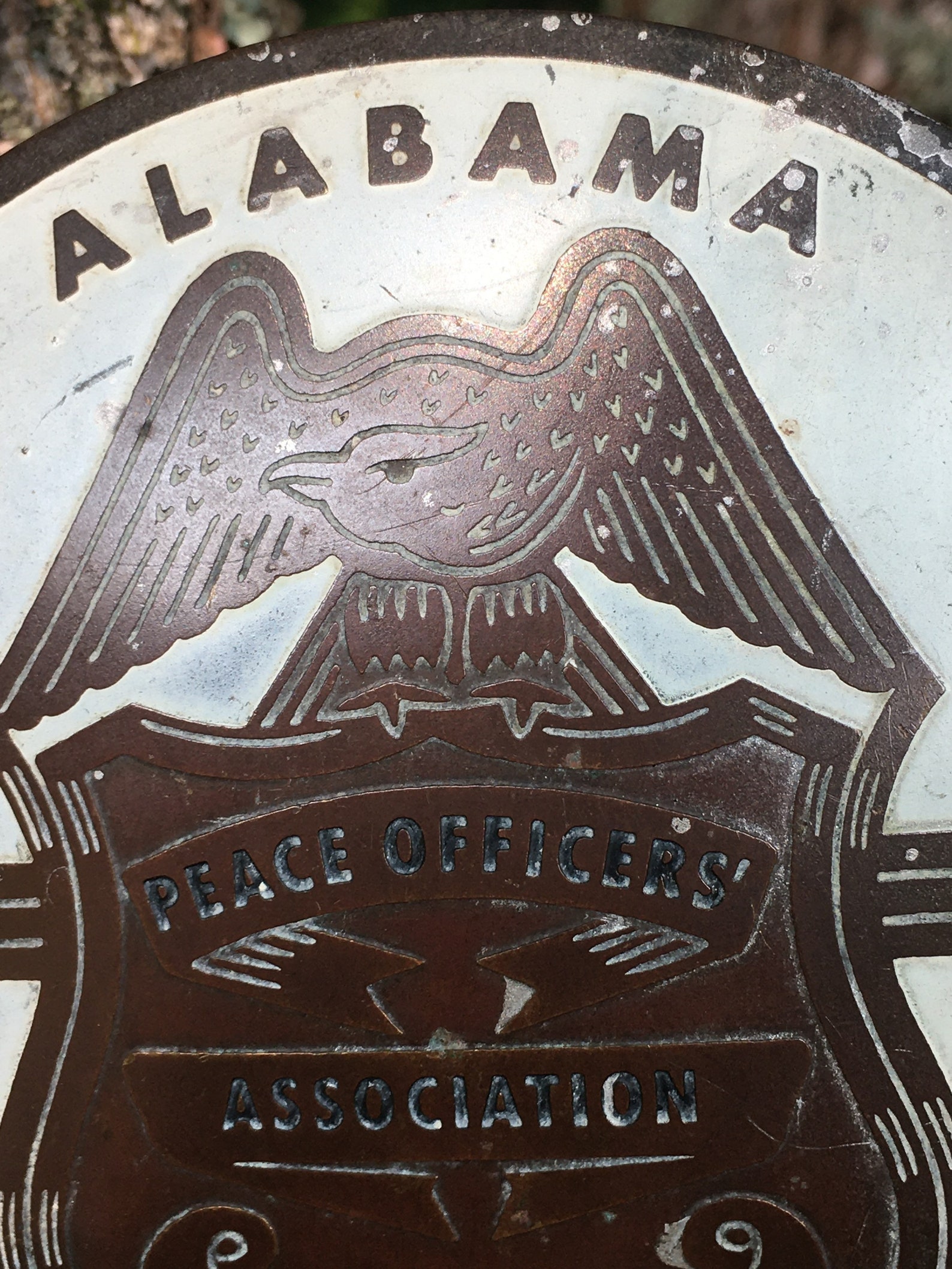 Vintage Alabama Peace Officers Association Car Tag Topper Etsy