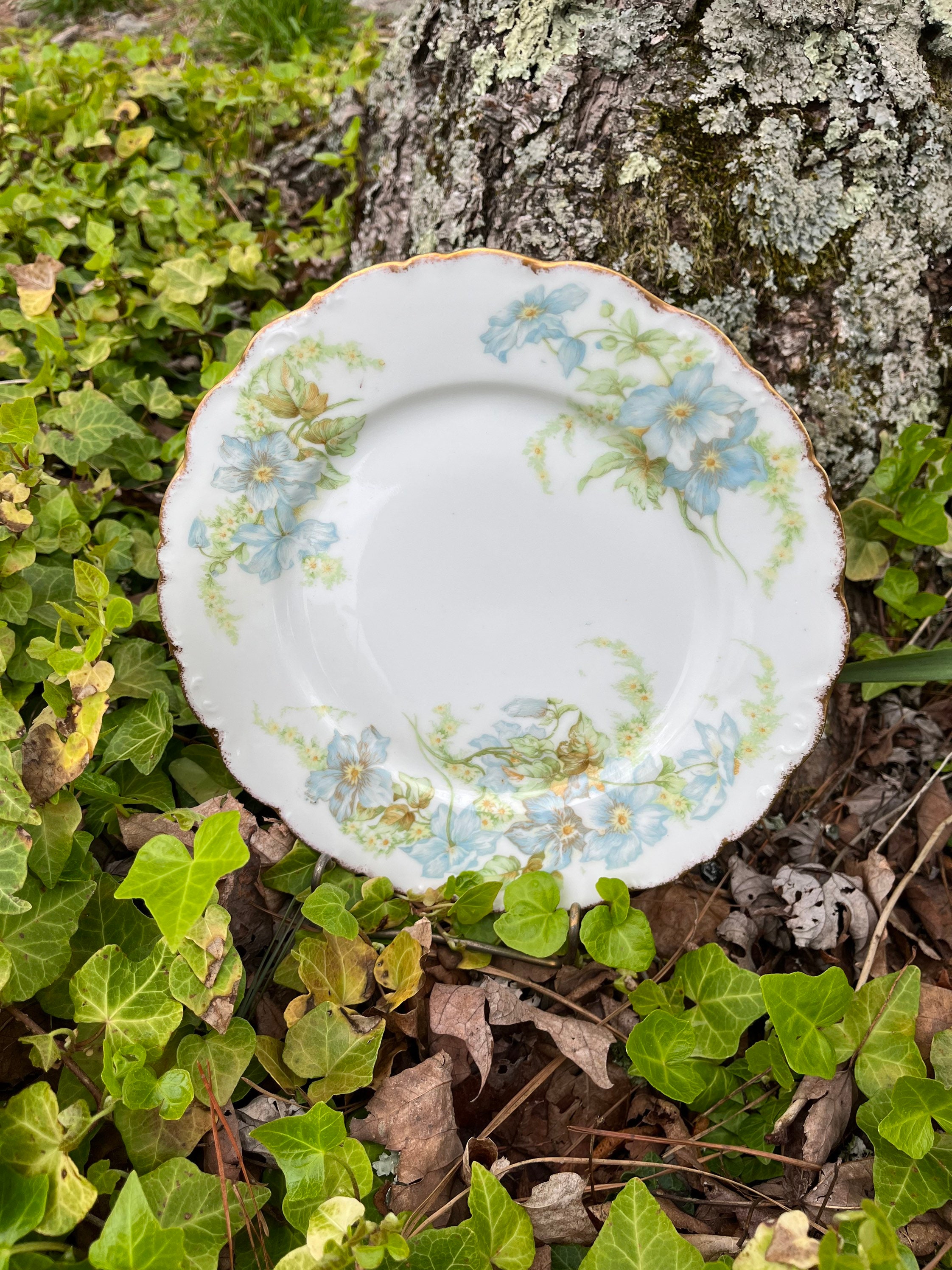  LIMOGES プレート　5枚セット リモージュ 皿 プレート 5枚 LIMOGES CASTEL ケーキ皿 金彩