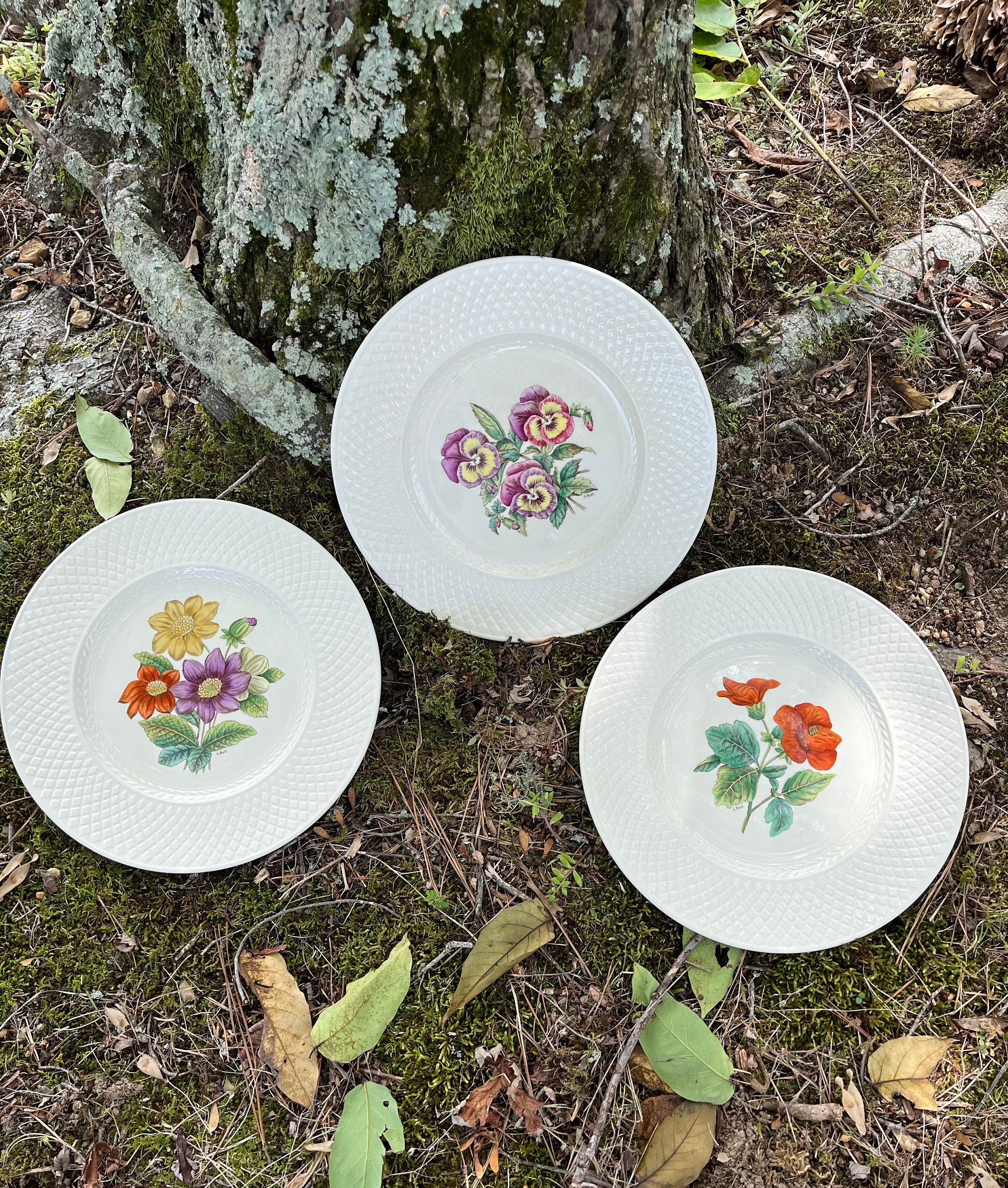 Spode's Mansard - Etsy