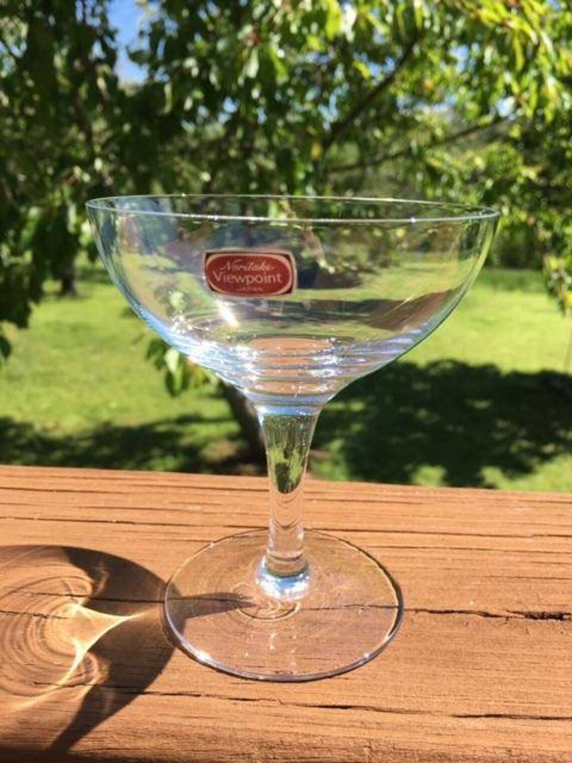 Noritake Japan Crystal Viewpoint Sherbets Champagne Stems Etsy