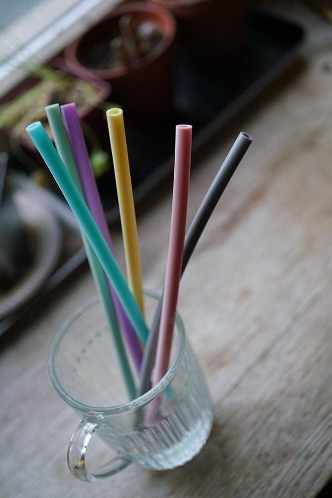 6 Pailles en Silicon