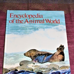May include: A book titled "Encyclopedia of the Animal World" with a seal on the cover. The seal is on a rocky shore with water in the background. The book cover is blue and the title is in red. The number "5" is in the bottom right corner of the cover.