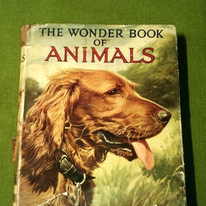 The Wonder Book Of Animals For Boys And Girls - Eighteenth Edition - 1950&#39;s Vintage Hardcover Book