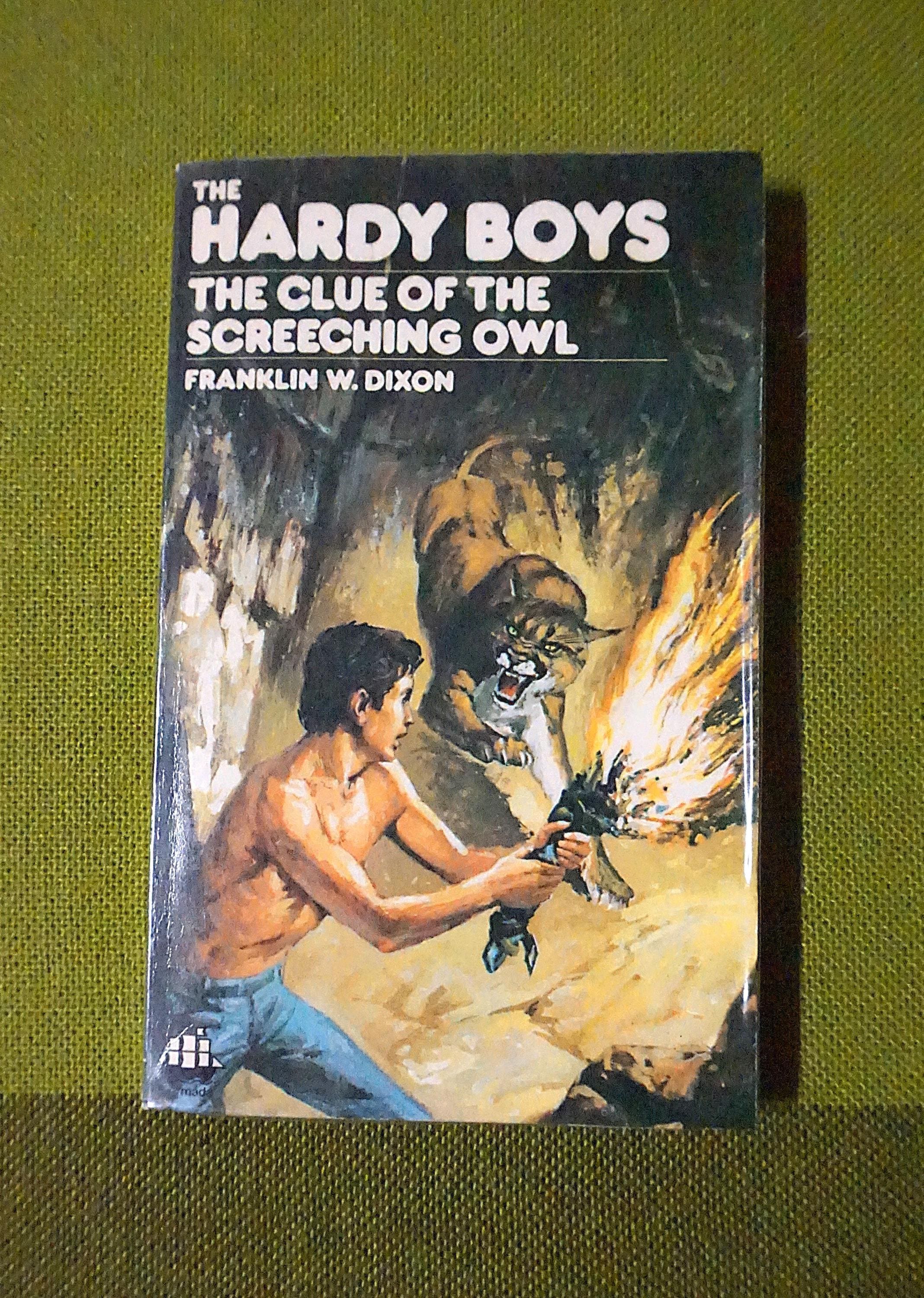 The Hardy Boys Series - The Clue Of The Screeching Owl By Franklin W. Dixon - 1980 Vintage Paperback